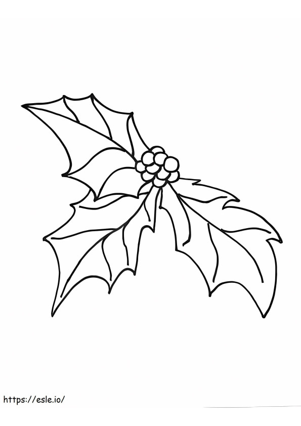 Christmas Holly 8 coloring page