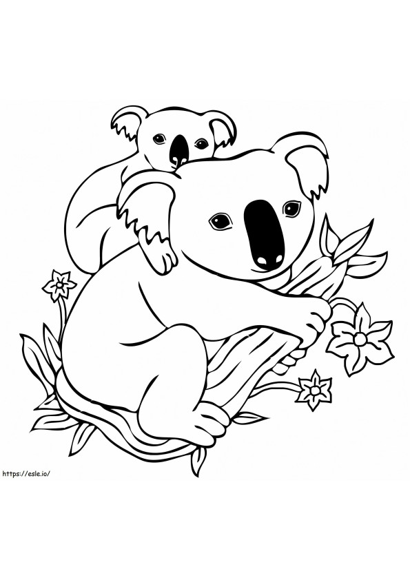 1594601626 Baby Koala On Mothers Back