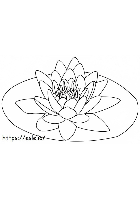 Coloriage Lotus incroyable à imprimer dessin
