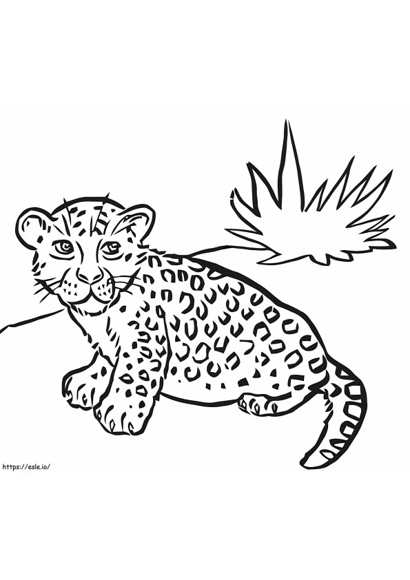 Desen leopard de colorat