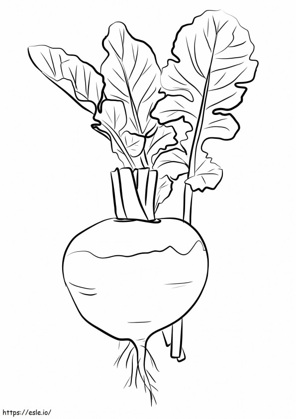 Normal Turnip coloring page