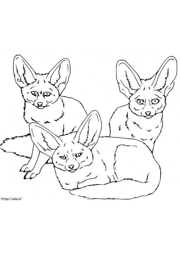 Coloriage Trois renards Fennec à imprimer dessin