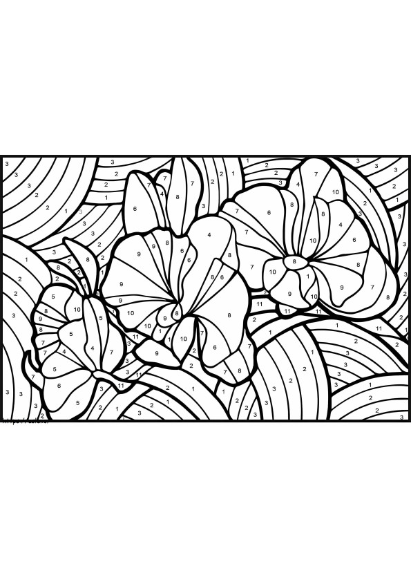 Orchid Color By Number coloring page