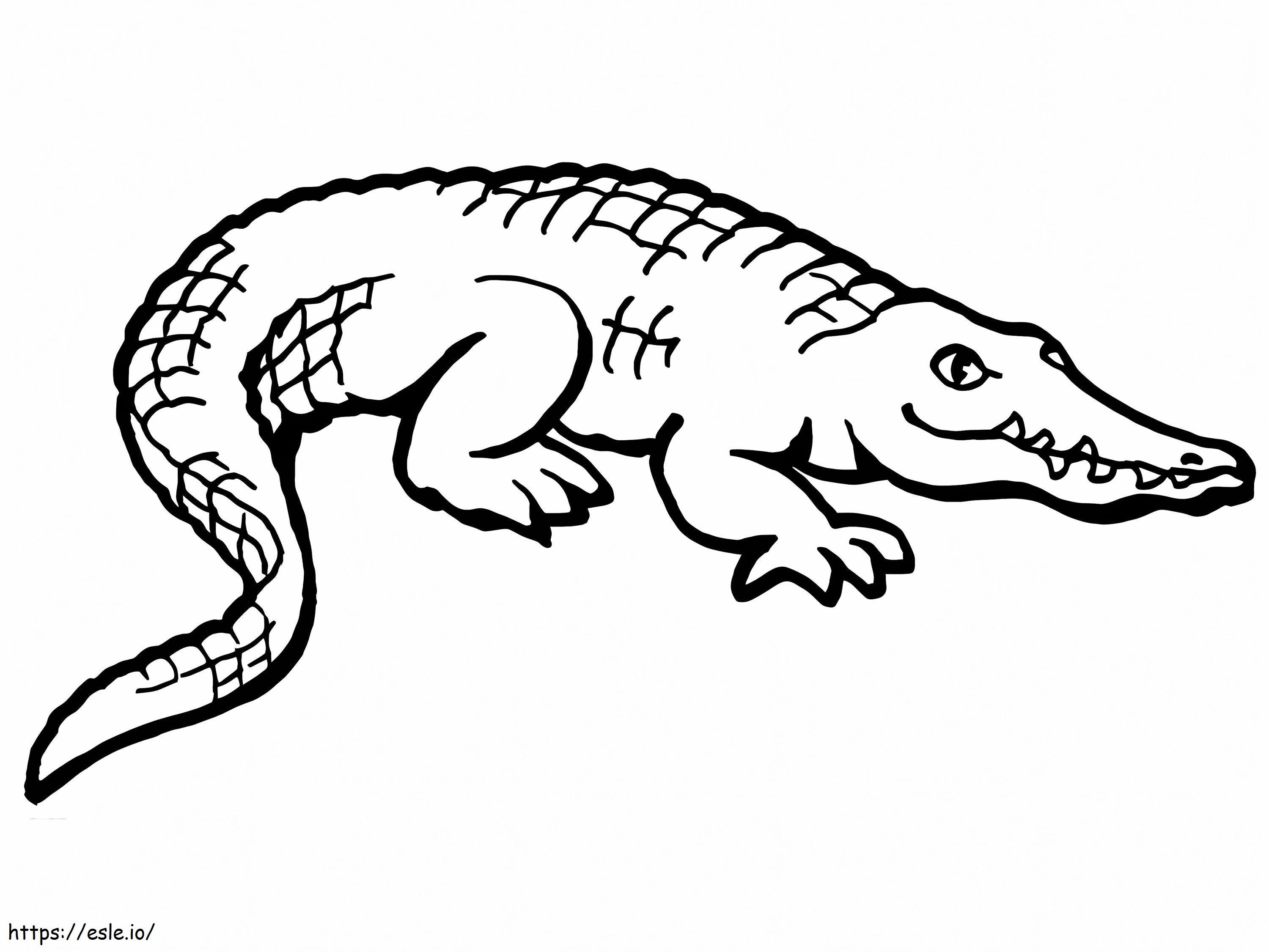 Afdrukbare Amerikaanse alligator kleurplaat kleurplaat