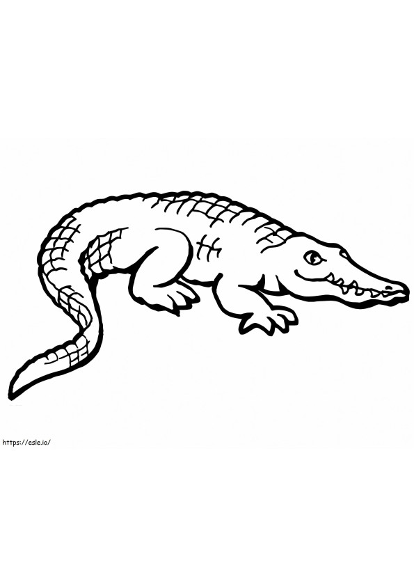 Printable American Alligator coloring page