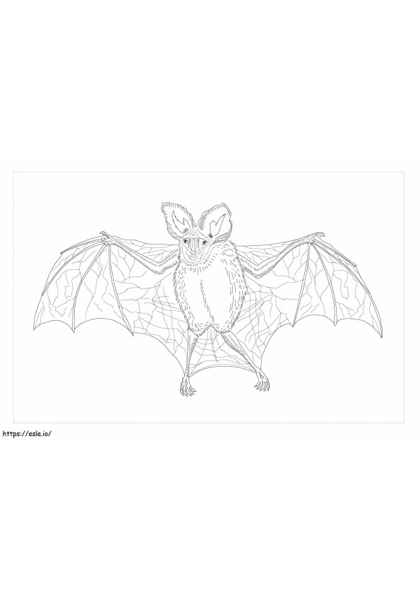 Murciélago vampiro falso para colorear