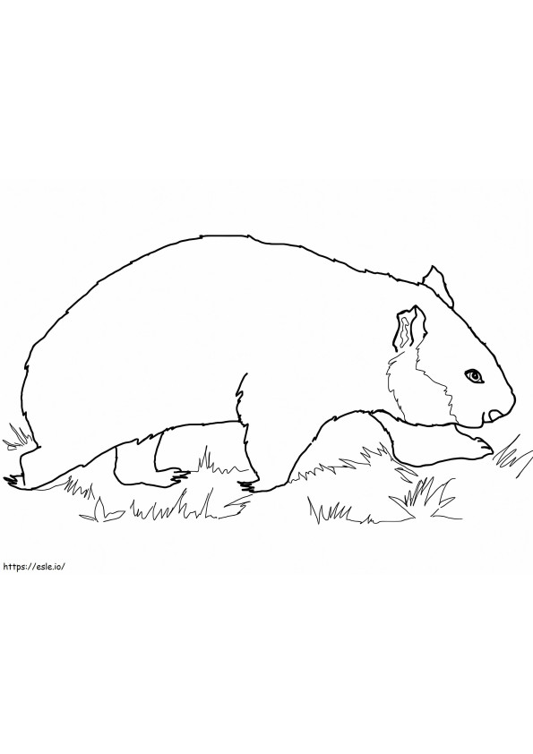 Coloriage Wombat marchant à imprimer dessin