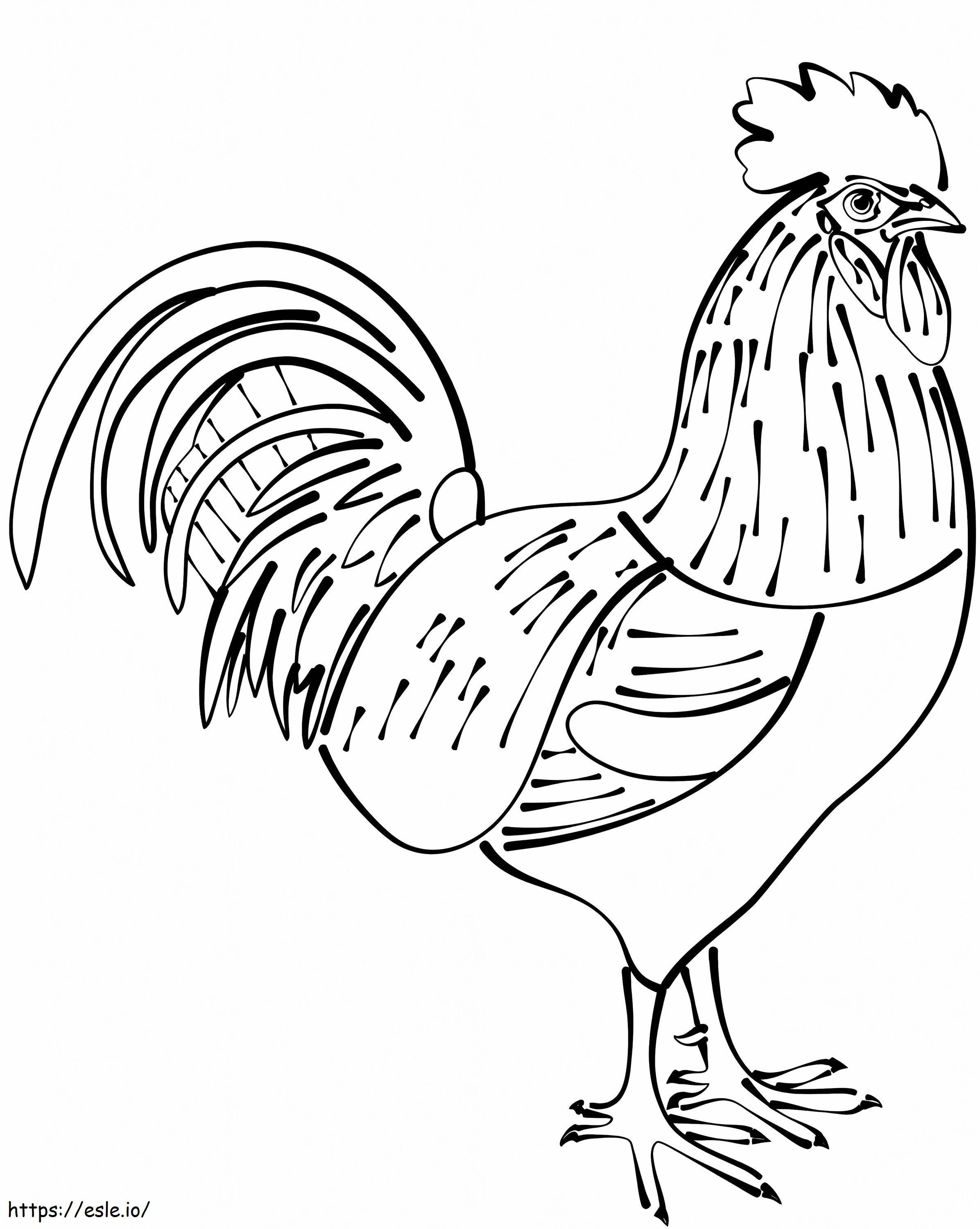 Normal Rooster 1 coloring page