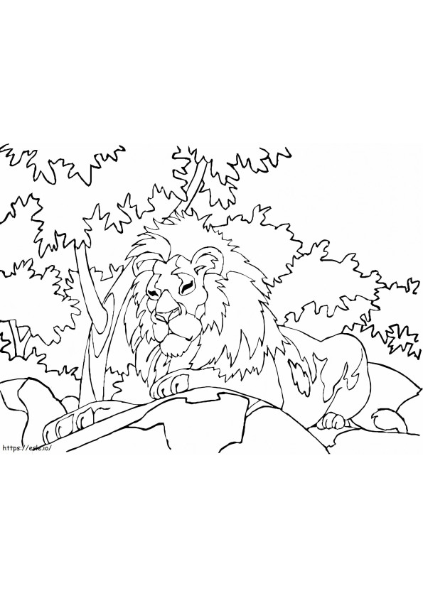 Lion dans la forêt