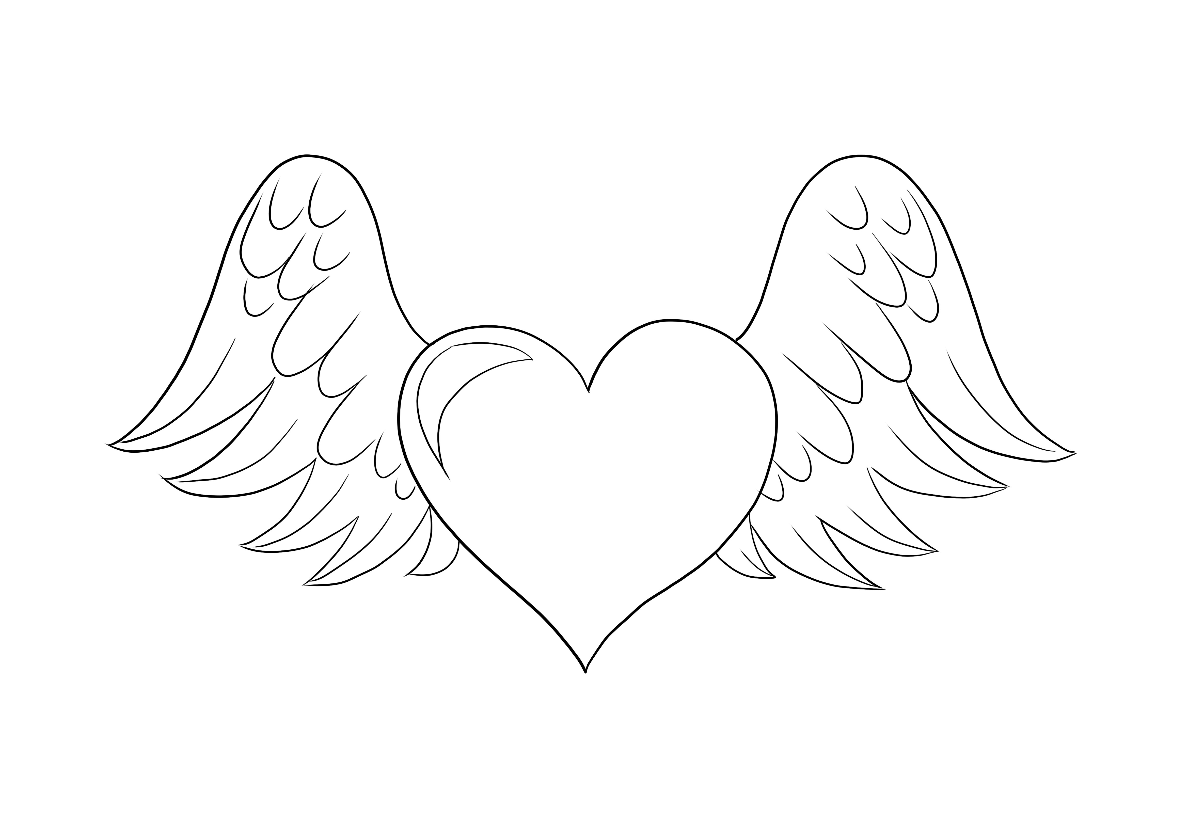 Heart with wings coloring image for kids for free downloading