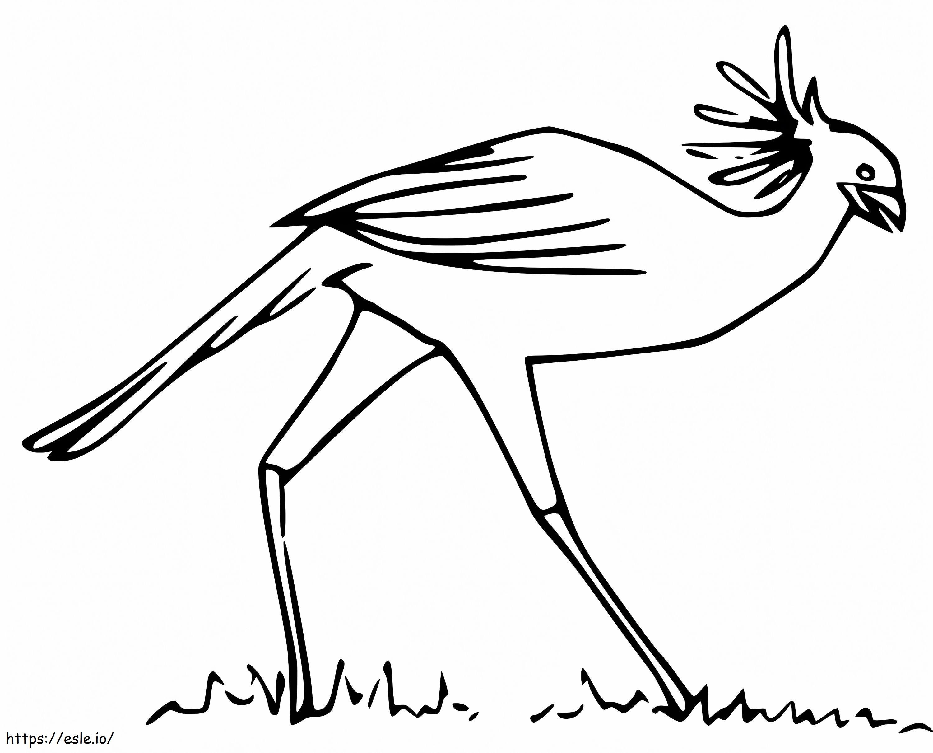 秘書の鳥の散歩ぬりえ - 無料印刷用