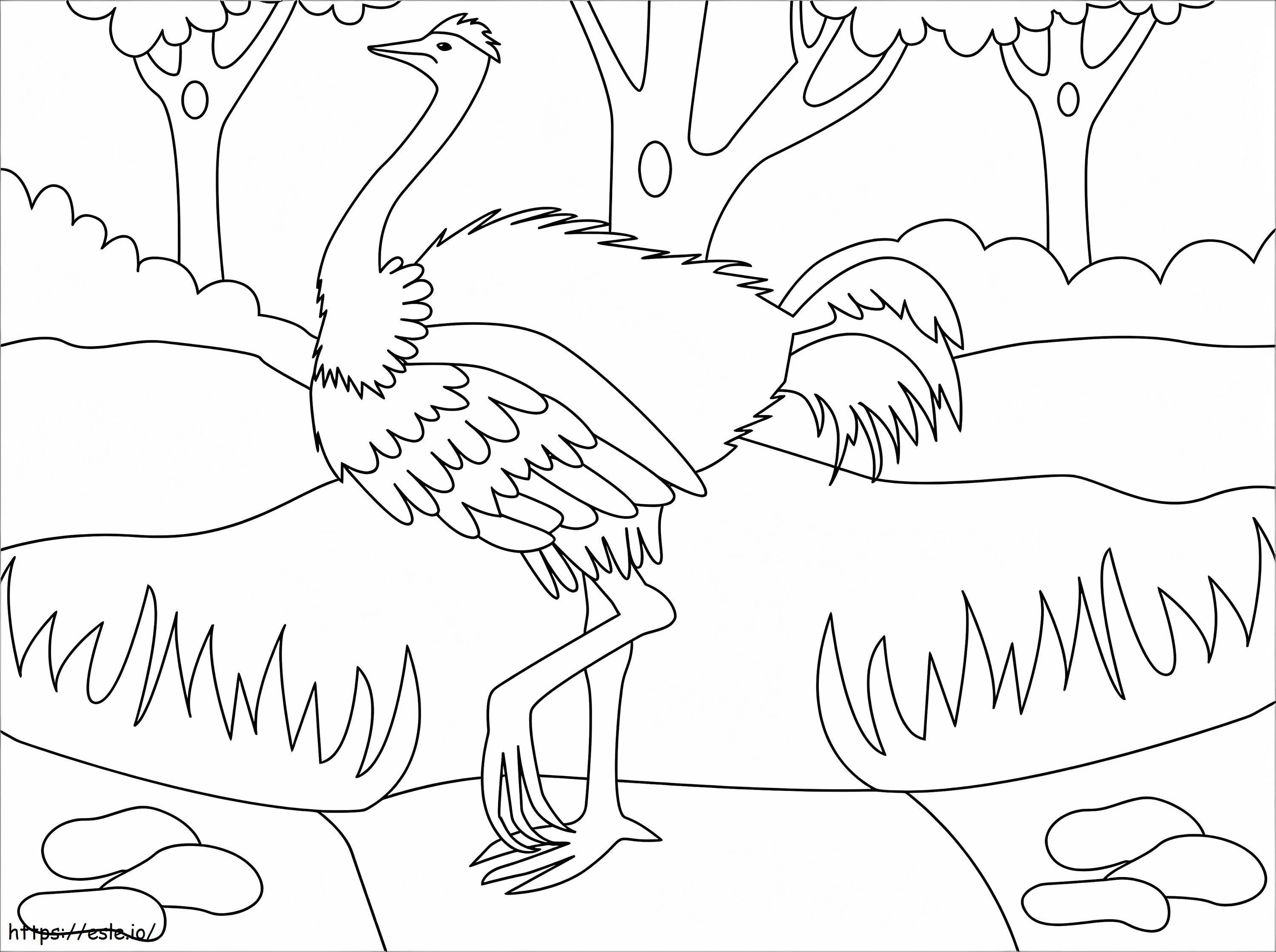 avestruz sencilla para colorear
