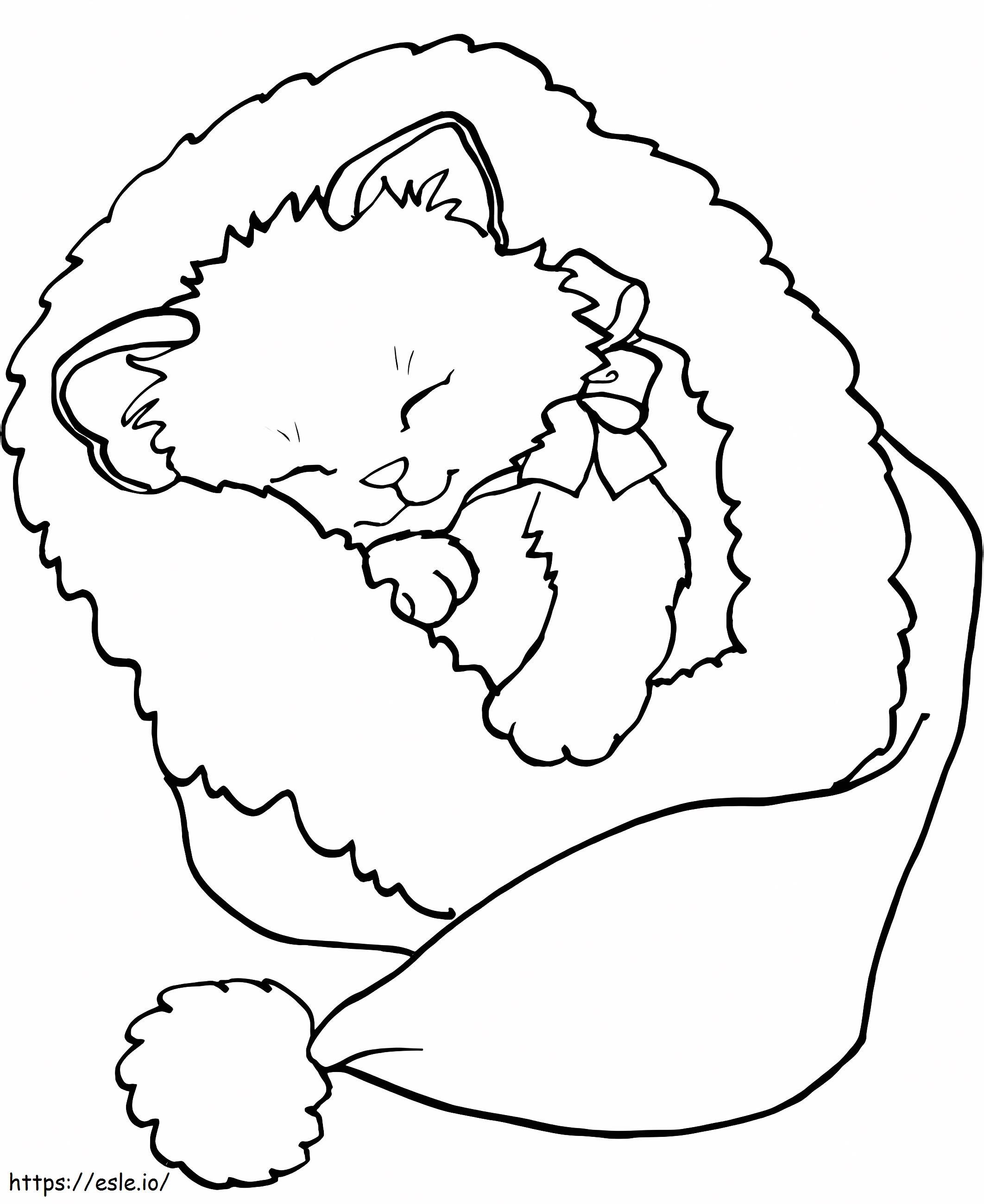 12 Baby Kittens Coloring Page