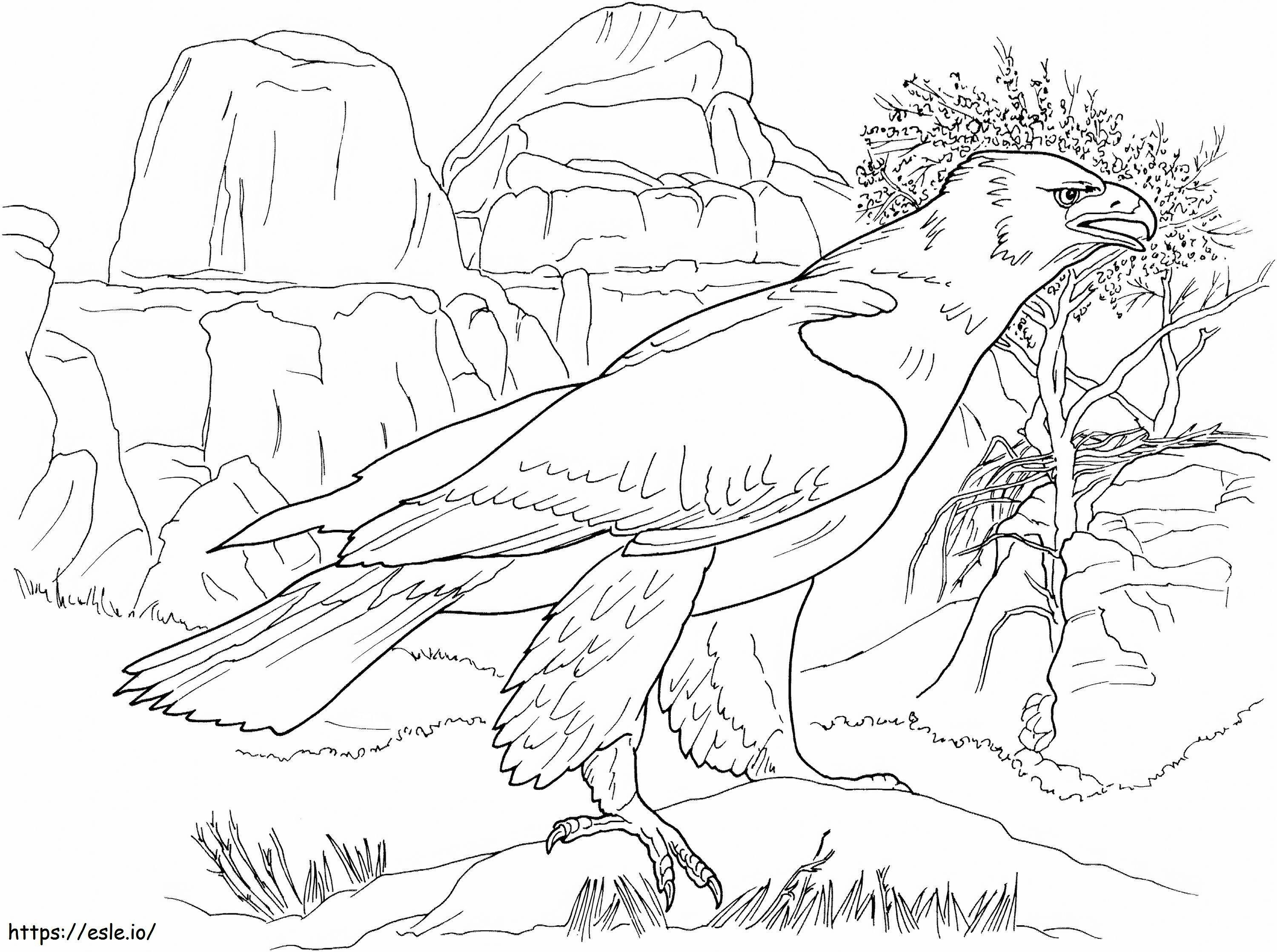 Normal Eagle Coloring Page coloring page