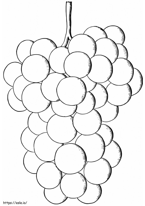 Draw Grapes By Hand