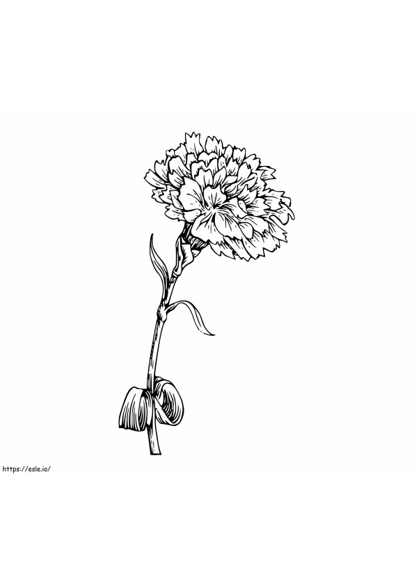 Rysunek kwiatu goździka kolorowanka