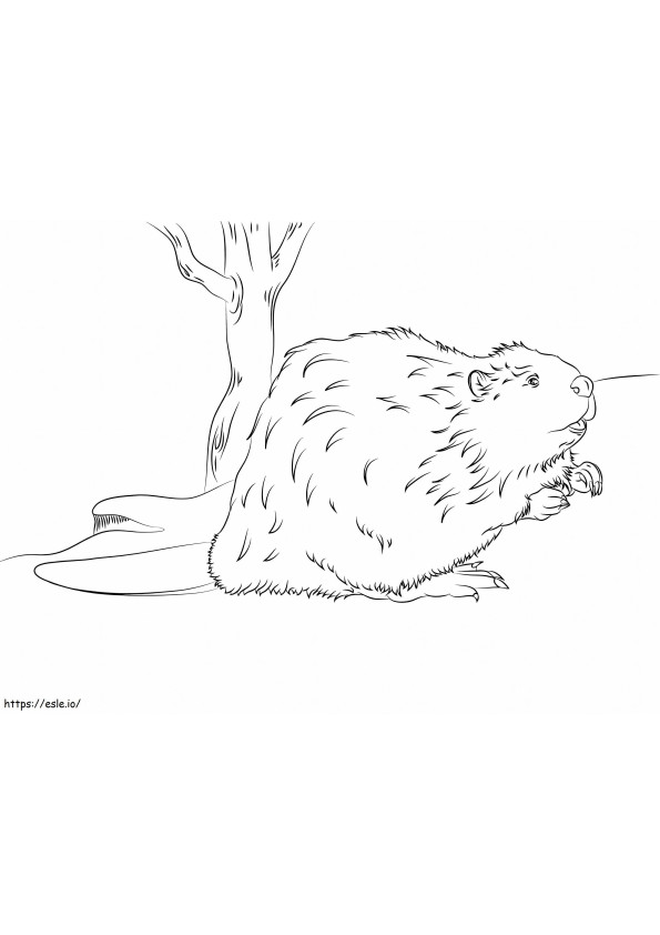 Good Beaver coloring page