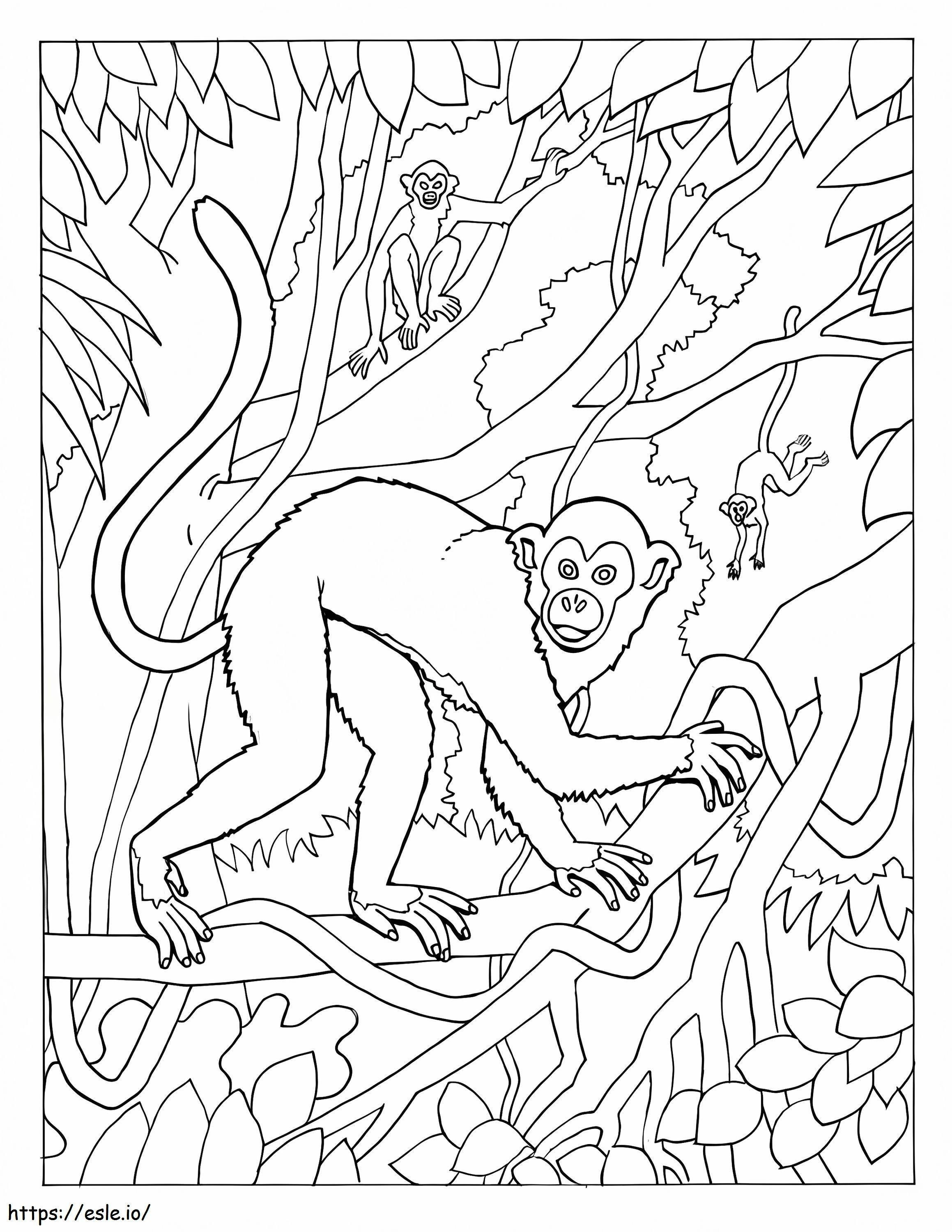 Monkeys coloring page