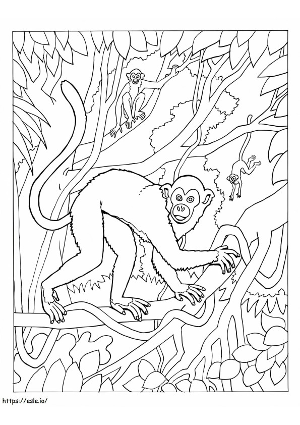 Majmok kifestő