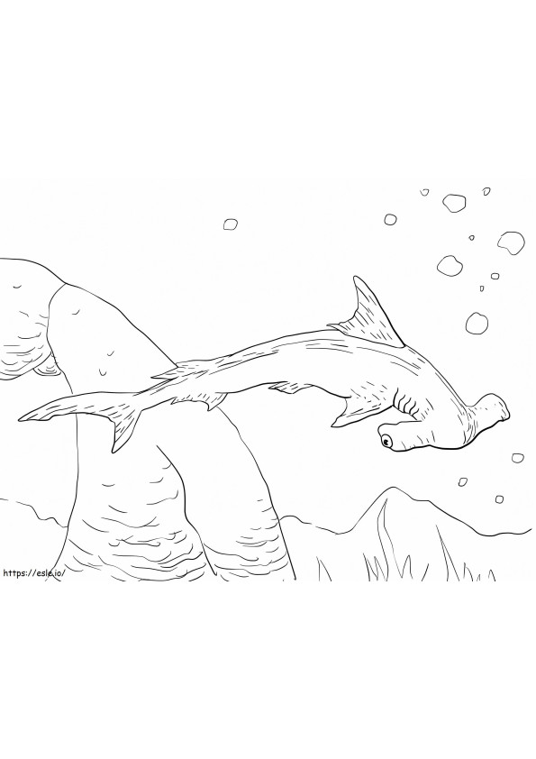Gebogener Hammerhai ausmalbilder