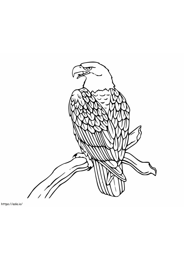 Águila calva de pie sobre la rama de un árbol
