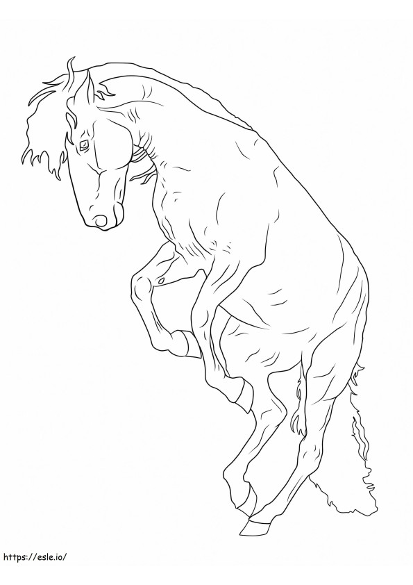 A Horse coloring page
