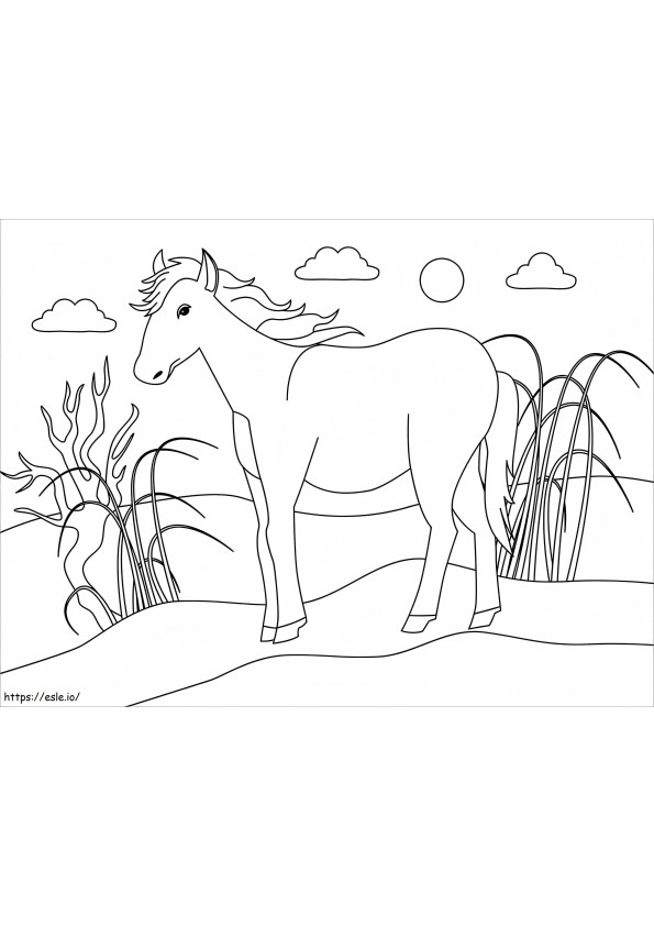 Coloriage Un cheval normal à imprimer dessin