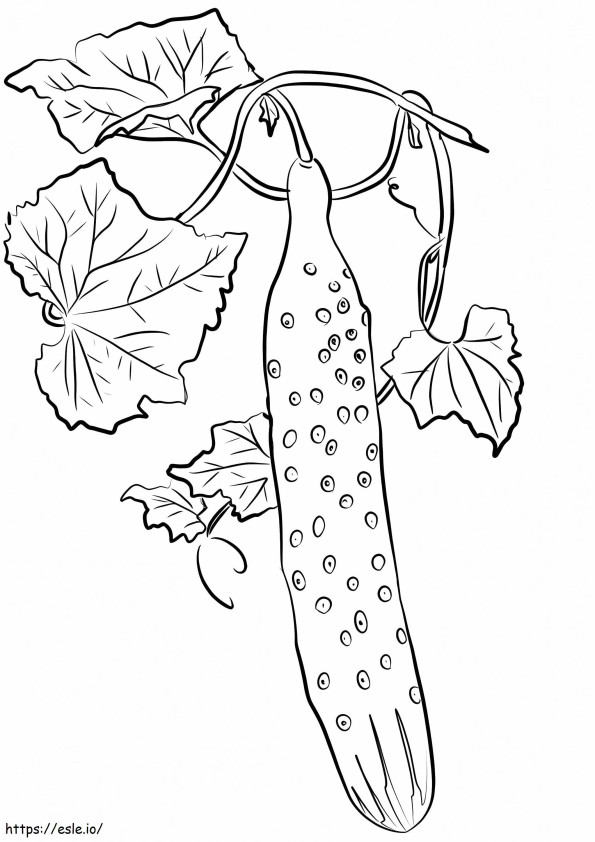 Tall Cucumber coloring page