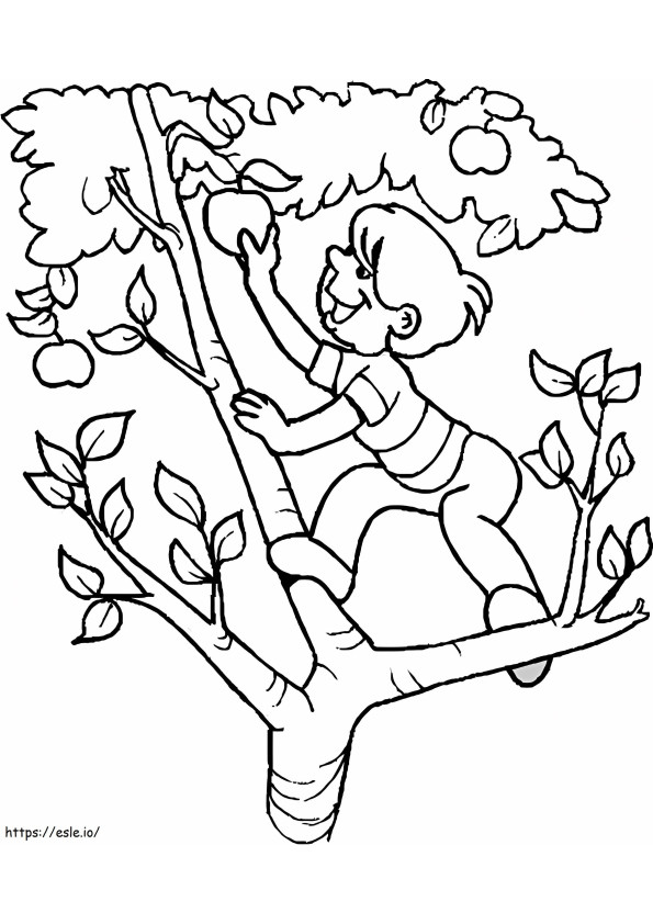 Poika kiipeämässä puihin värityskuva