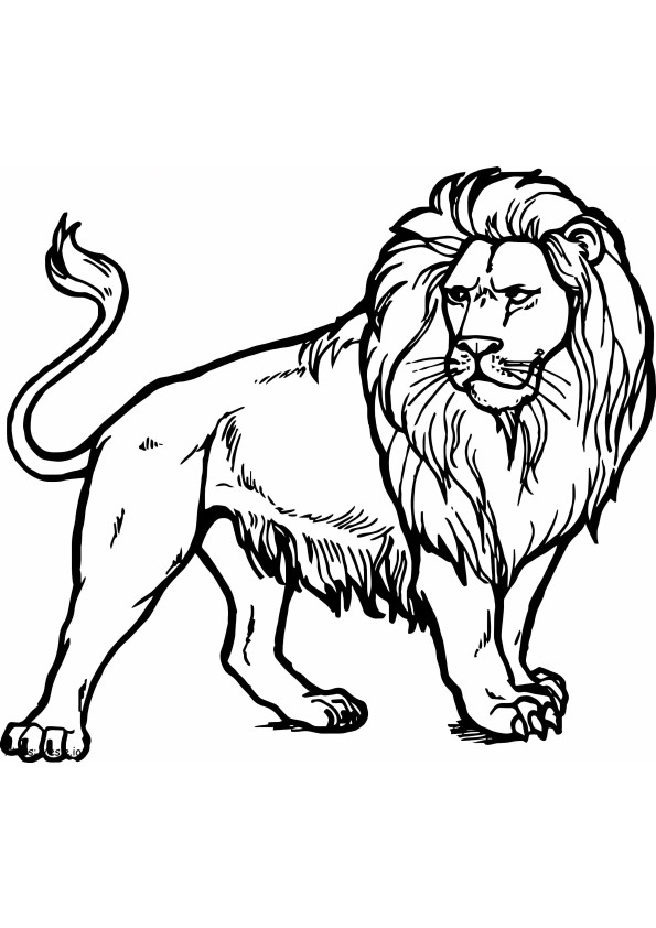 Strong Lion coloring page