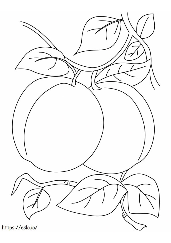 Coloriage Deux Abricots Avec Feuille à imprimer dessin