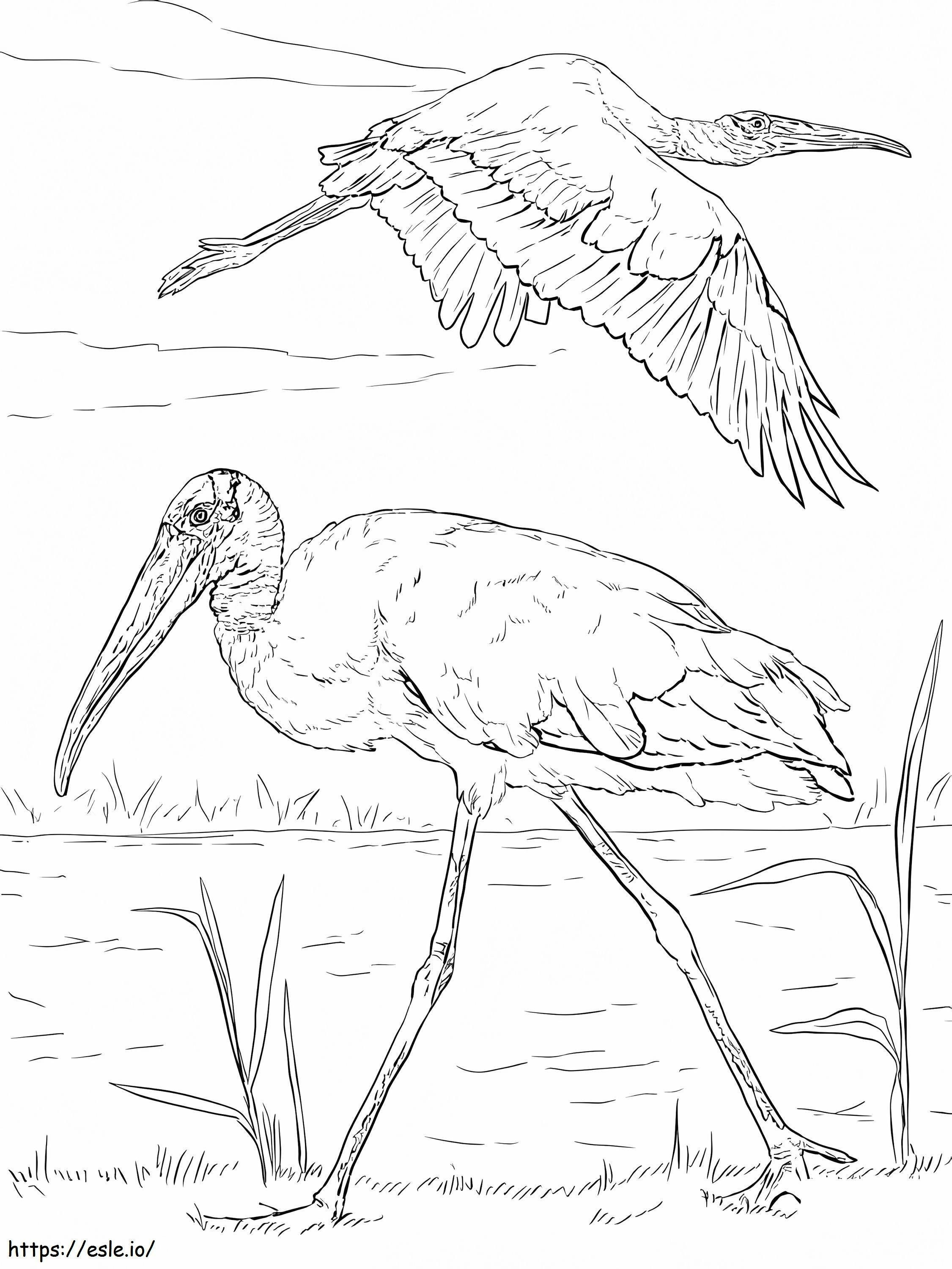 Wood Storks coloring page