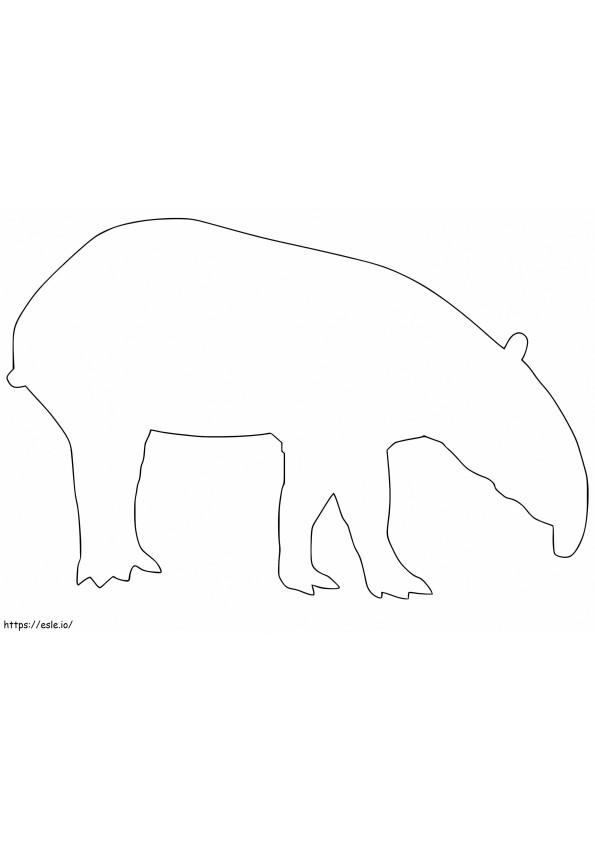 Tapir-overzicht kleurplaat