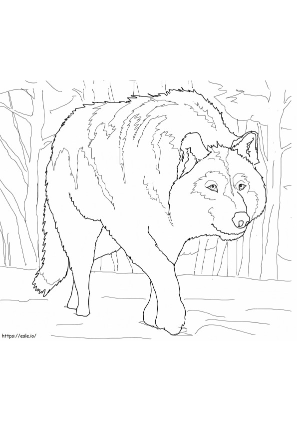 Loup Gris Tapit 1024X895