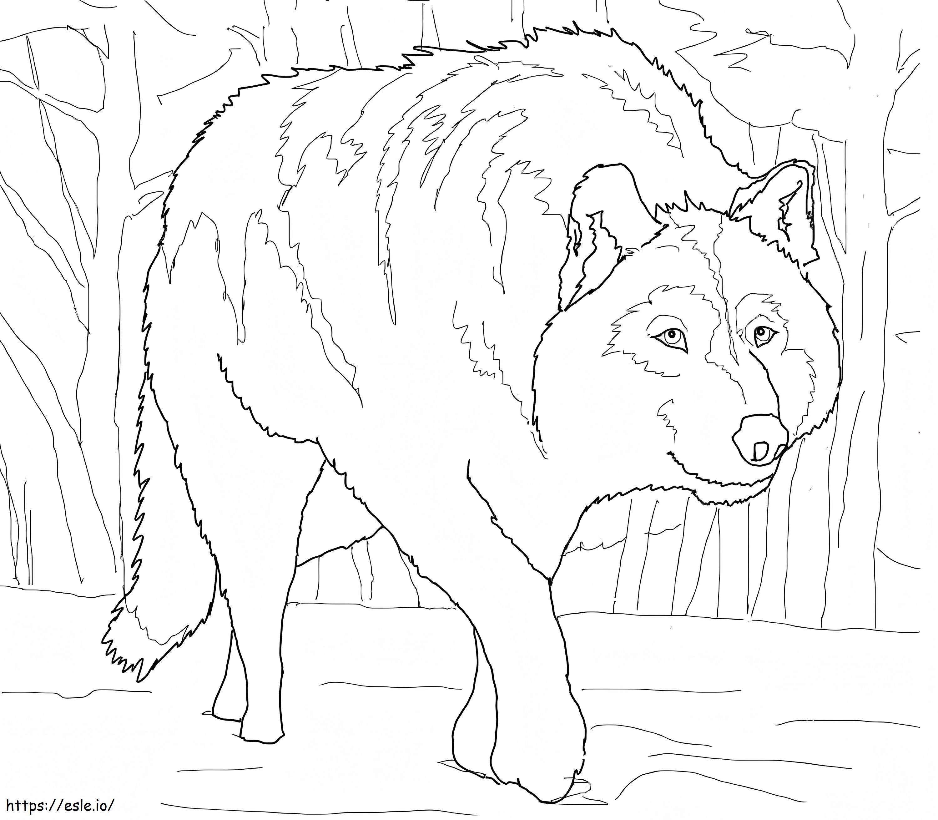Gray Wolf Coloring Page - Free Printable PDF