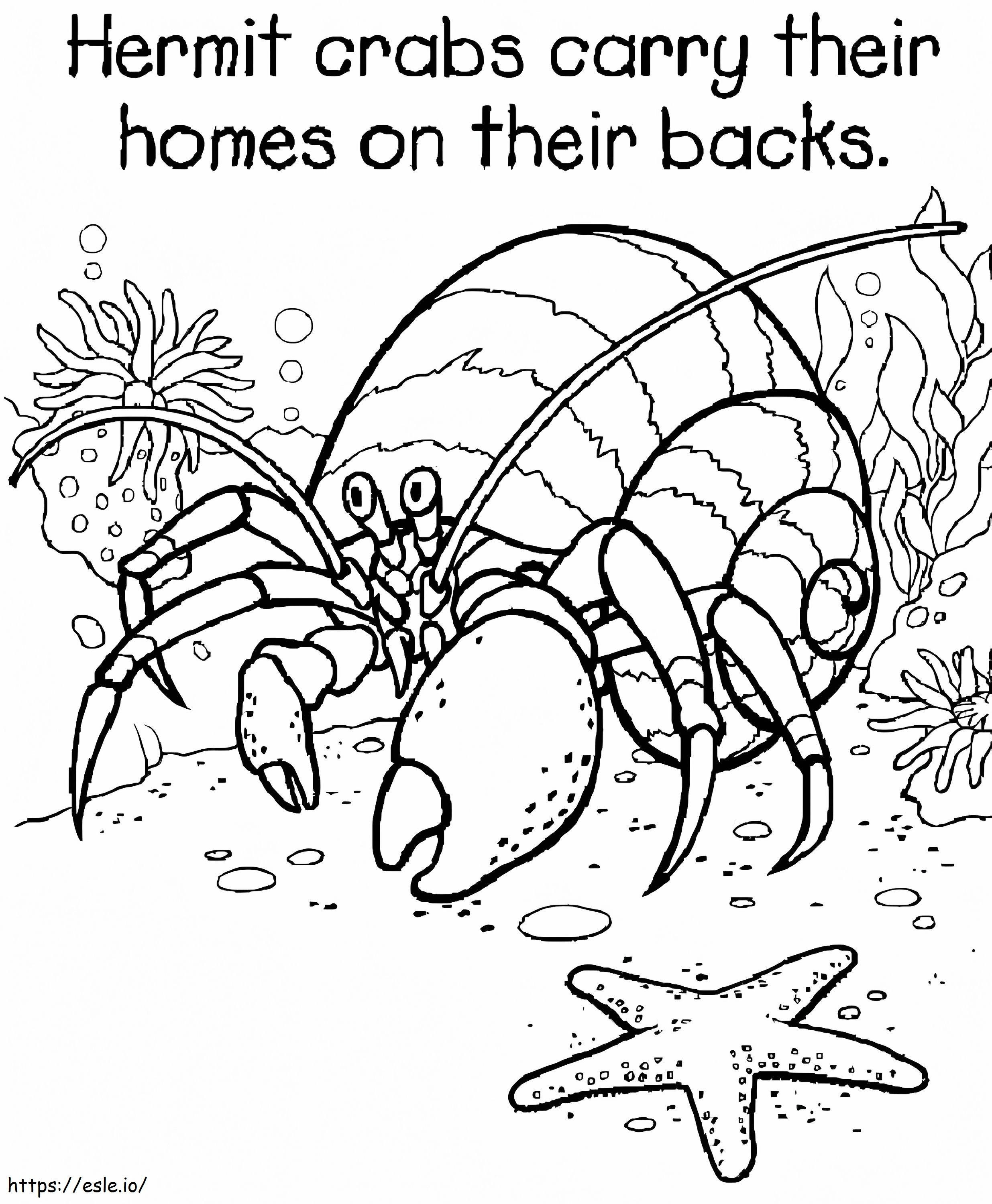 Hermit Crab With Star Fish coloring page