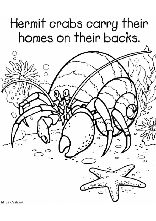 Hermit Crab With Star Fish coloring page
