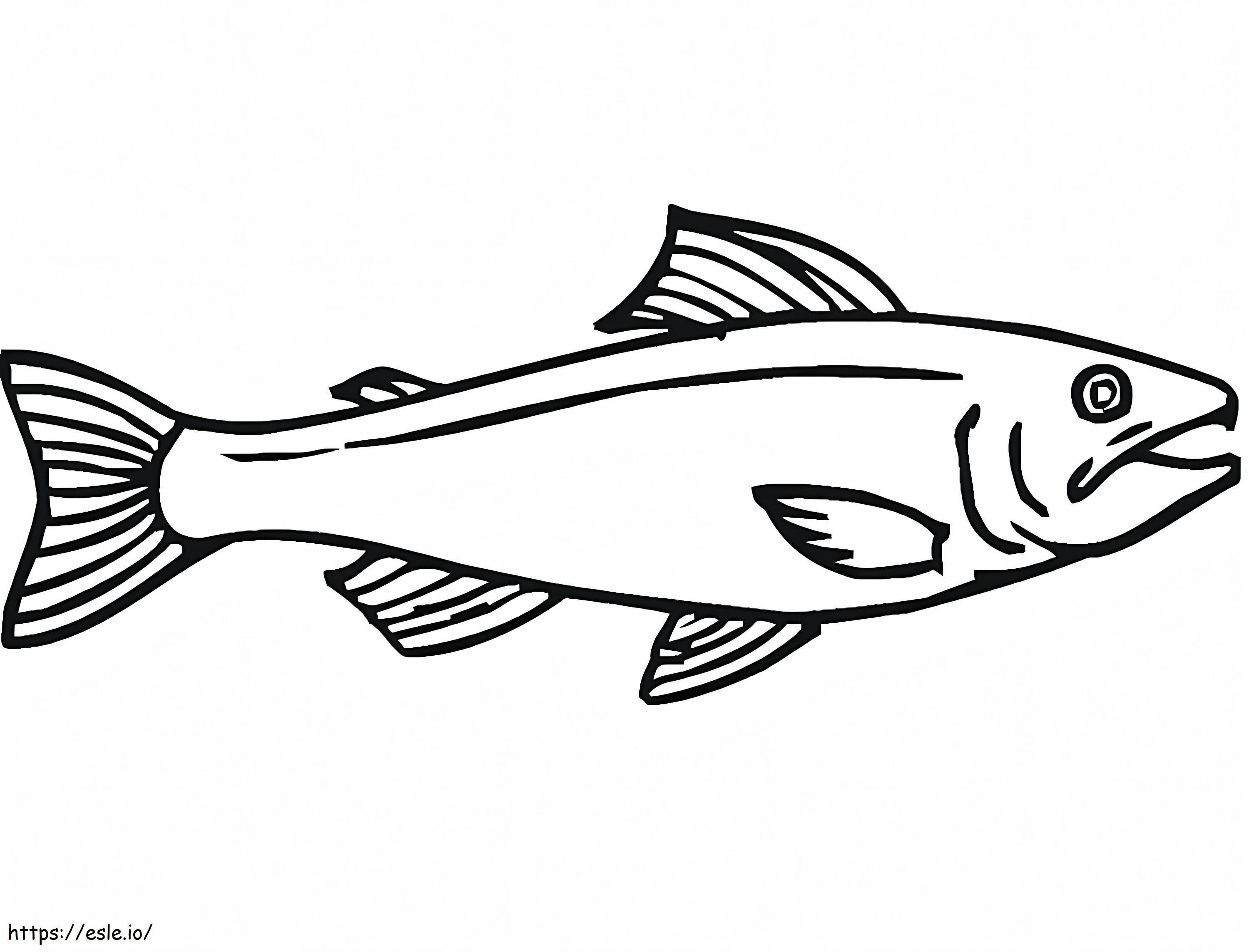 Salmon Free coloring page