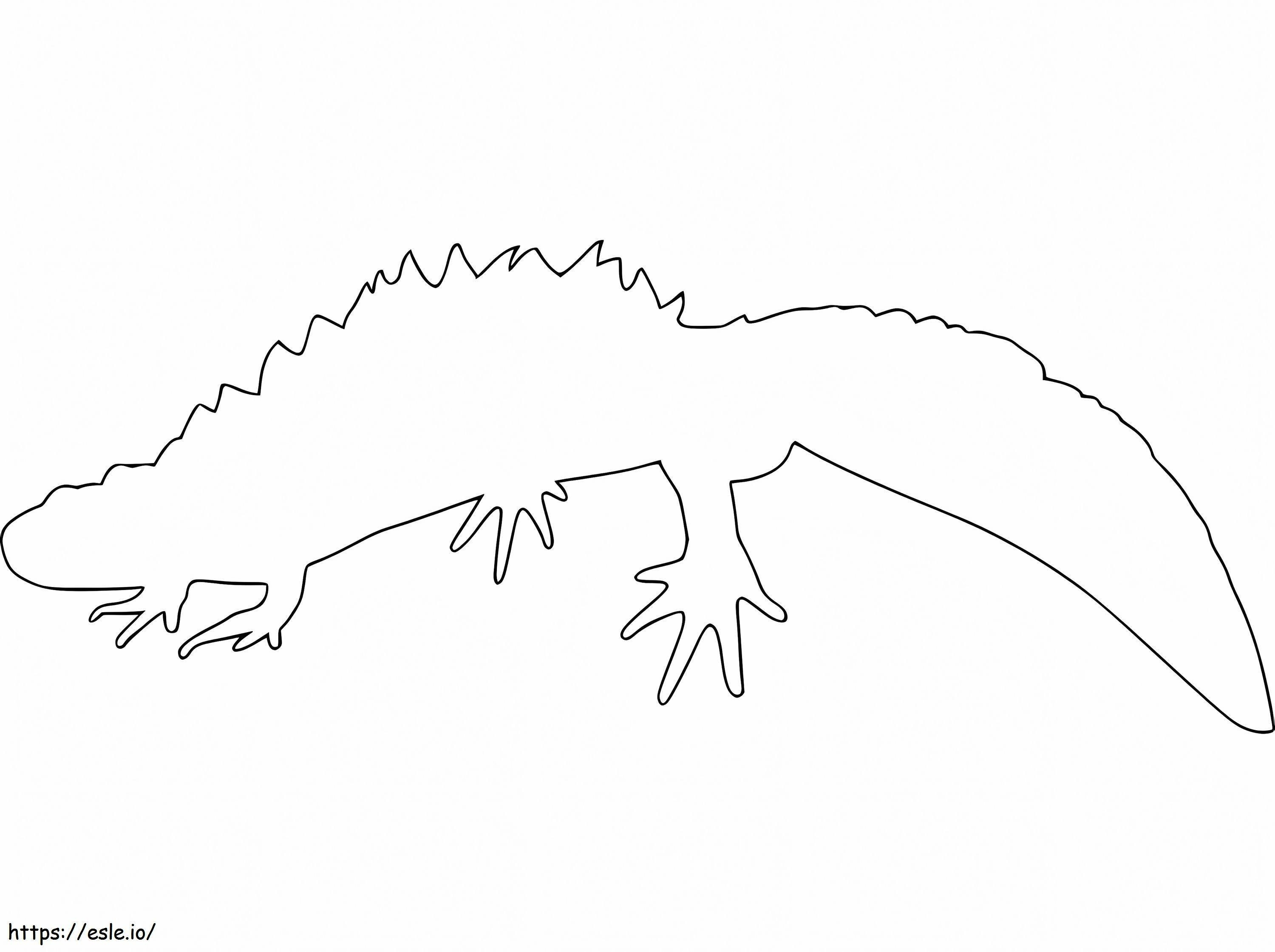 Outline Newt coloring page