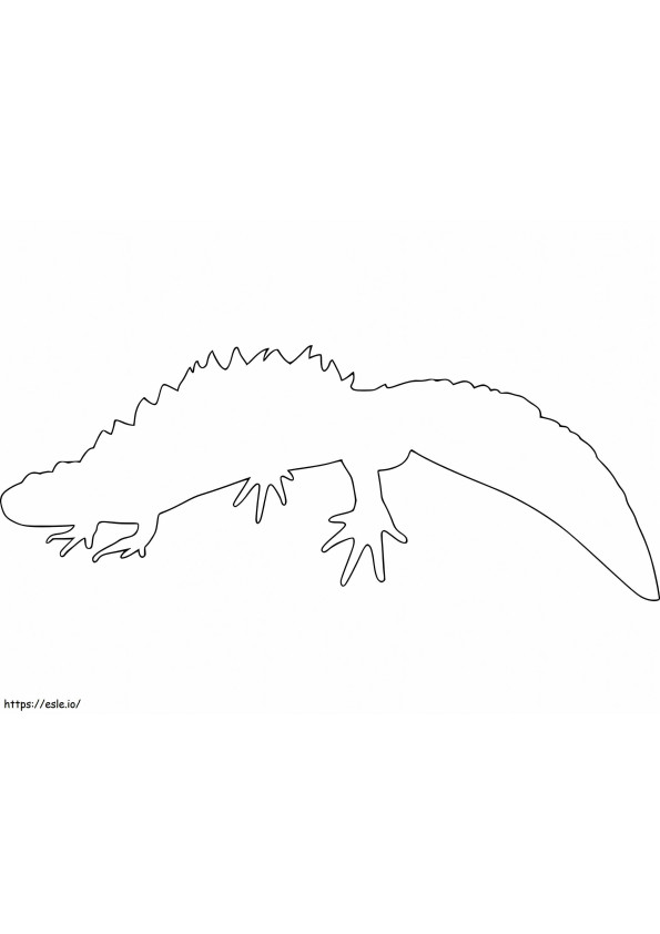 Outline Newt coloring page