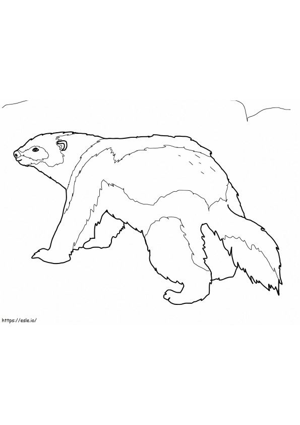 Wolverine Wolverine