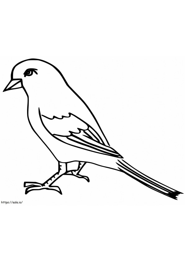Stunning Sparrow coloring page