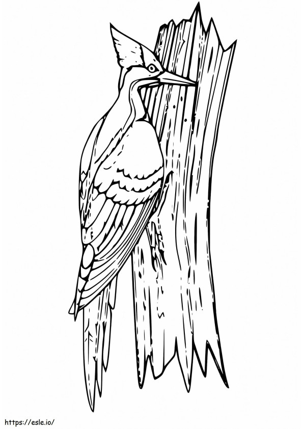 Lovely Woodpecker coloring page
