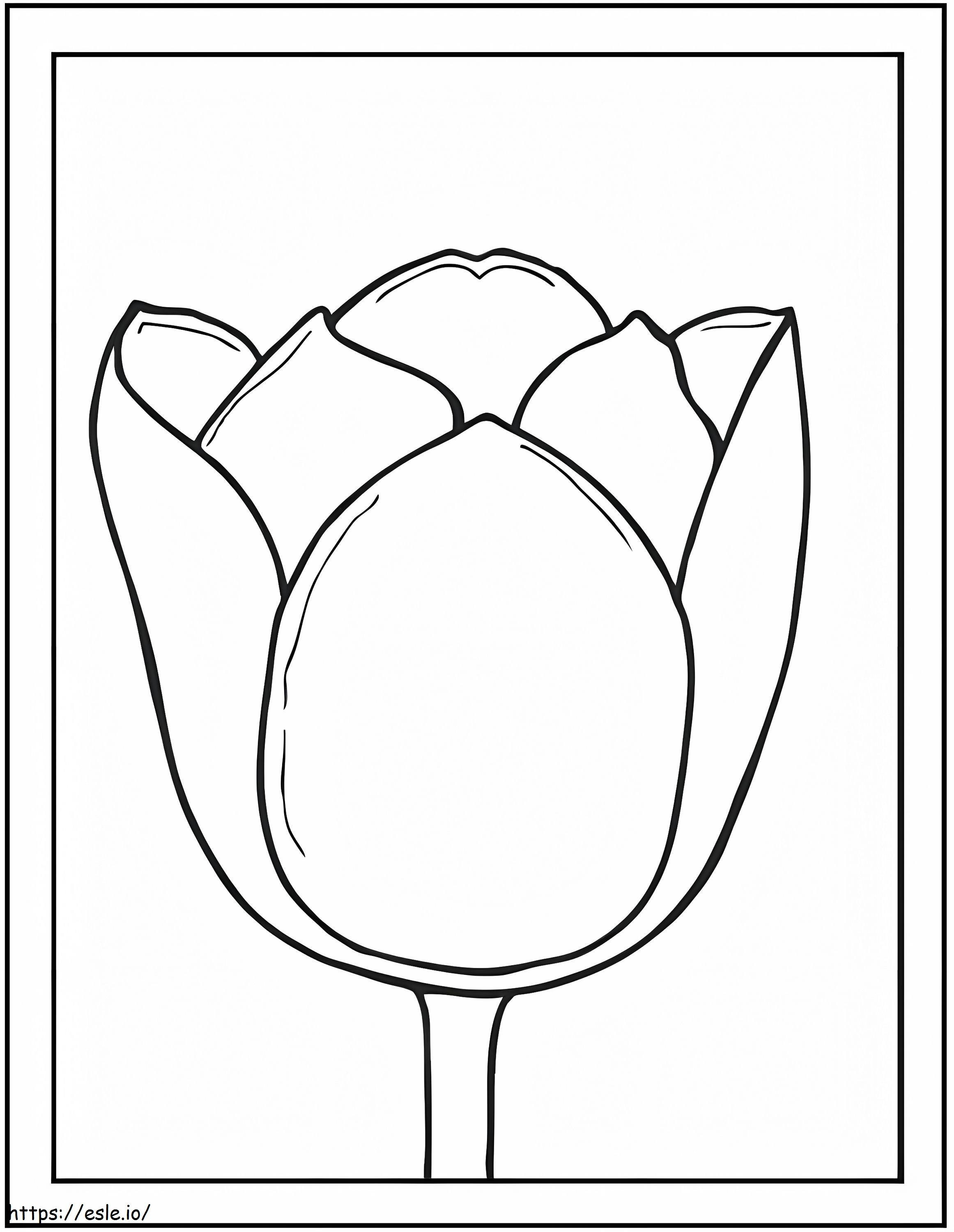 Marcos de fotos de tulipanes para colorear