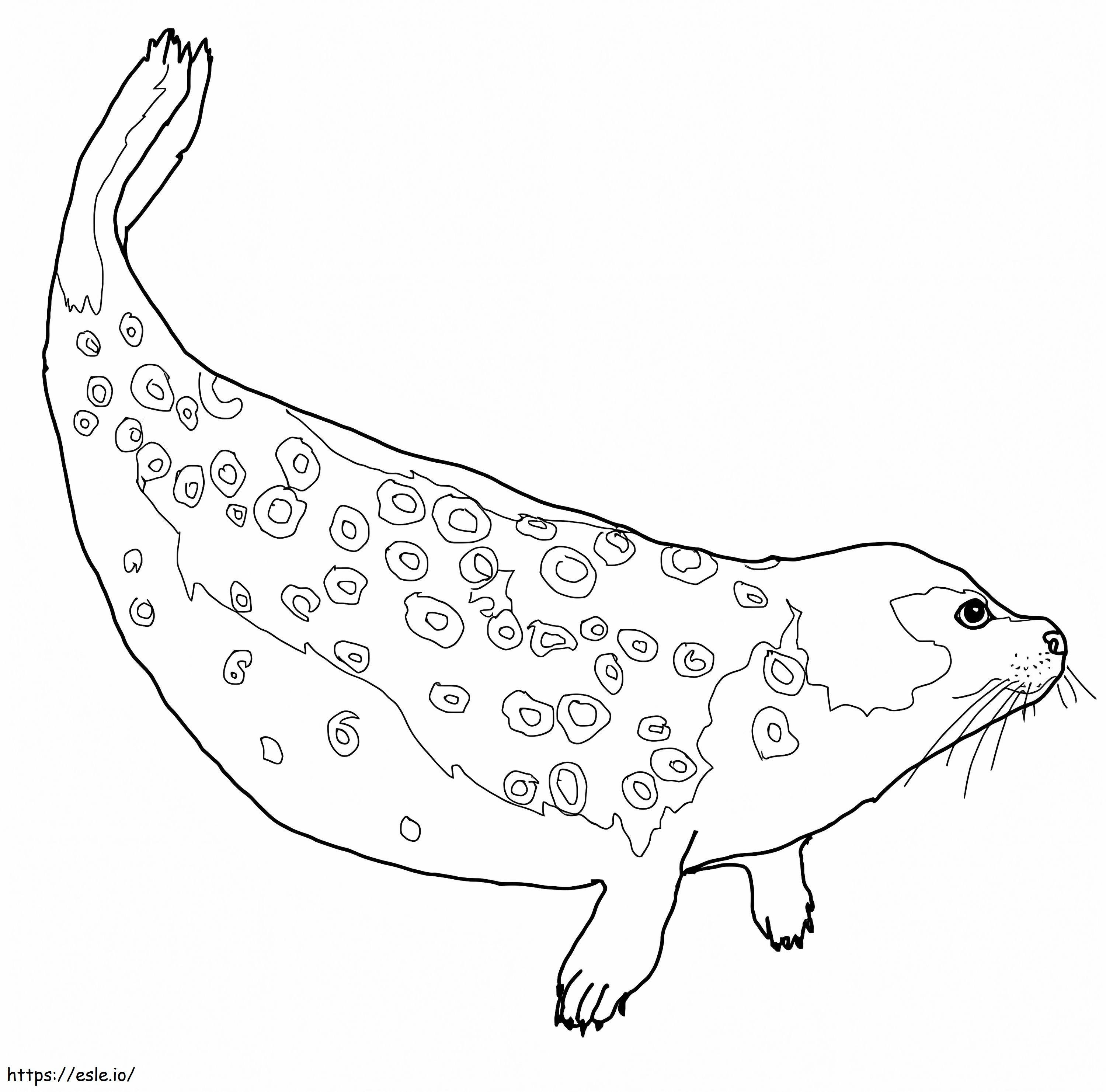 Geringde zeehond kleurplaat kleurplaat