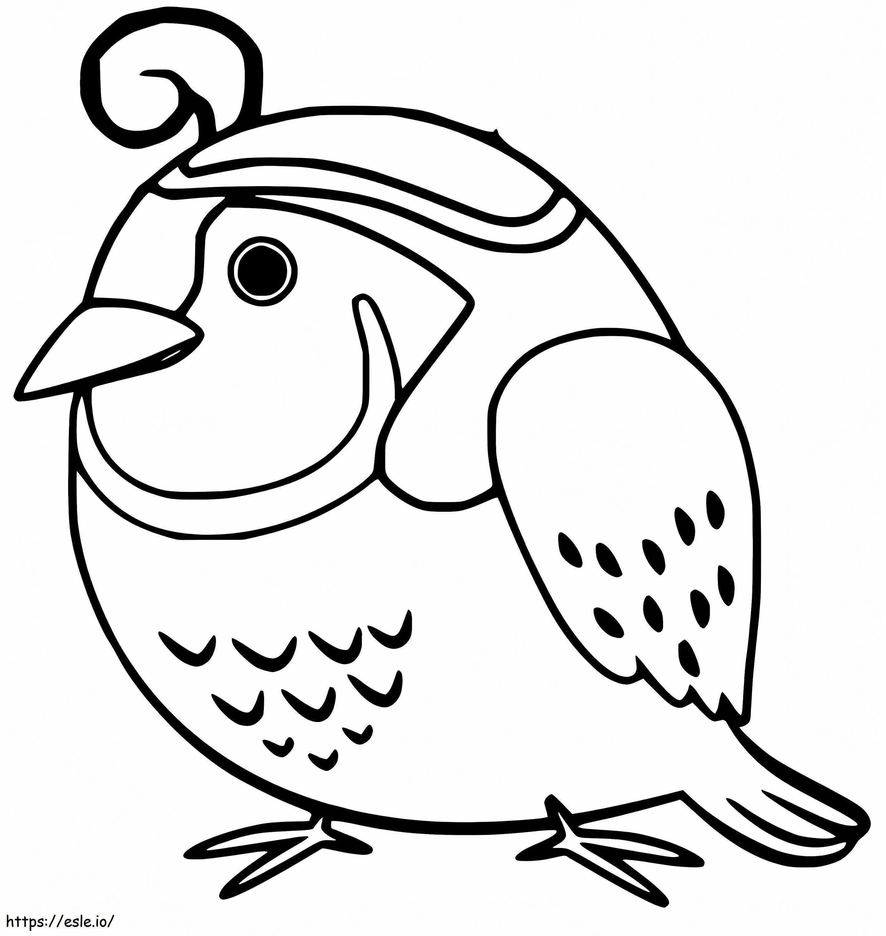 Baby Quail coloring page