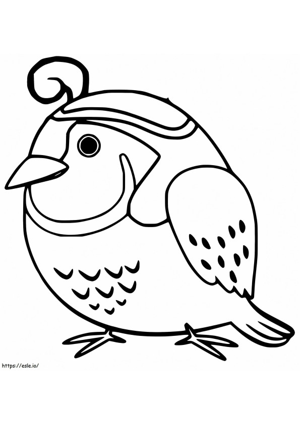 Baby Quail coloring page