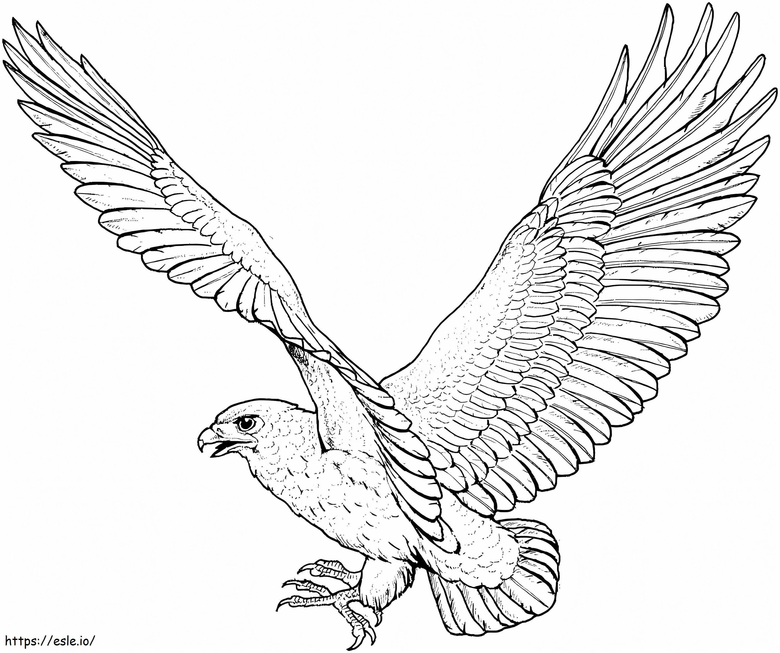 Fliegender Falke ausmalbilder