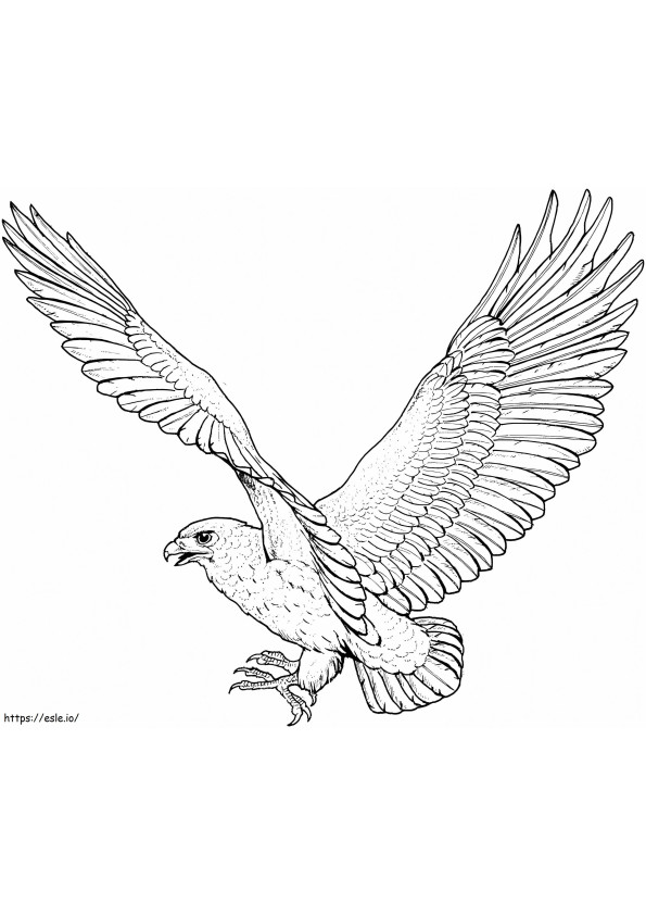 Coloriage Faucon volant à imprimer dessin