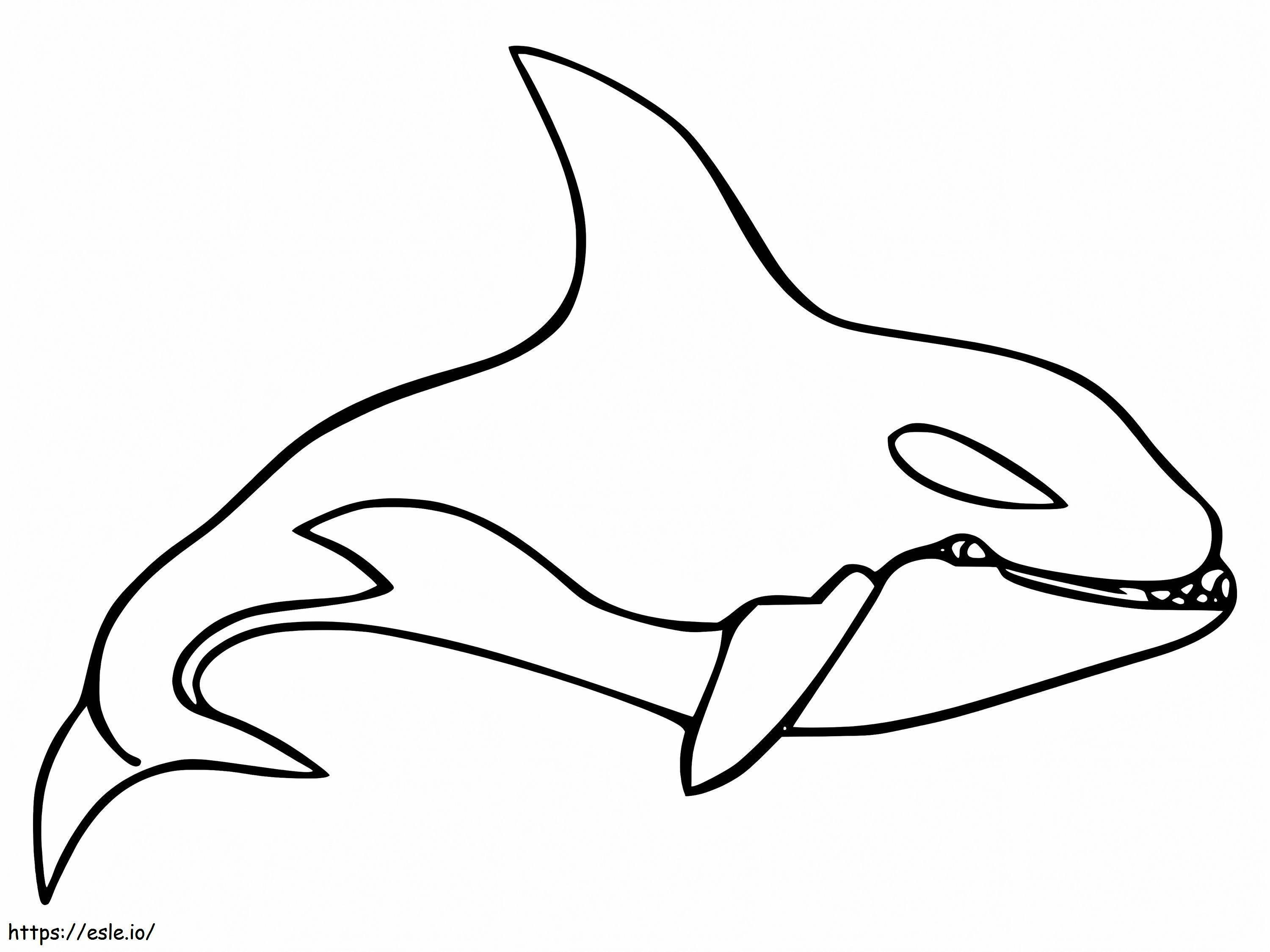 Balena ucigașă gratuită de colorat